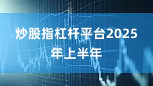 炒股指杠杆平台　　2025年上半年